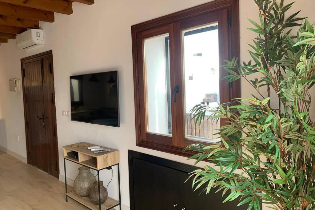 Hidden Gem Penthouse Populo Y Catedral Apartment Cadiz Bagian luar foto